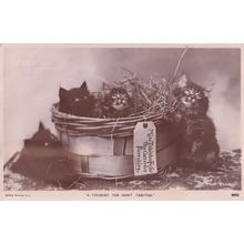 A Present For Aunt Tabitha Scared Basket Of Kittens Antique Cat Postcard
