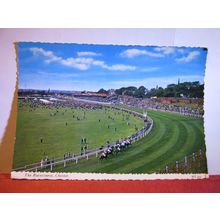 THE RACECOURSE, CHESTER unused postcard by Valentine dated 1970 #