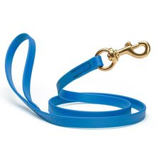Dog Pet Leash with Brass Hardware W 5/8” L 4 FT Cerulean Blue