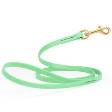 Dog Pet Leash with Brass Hardware W 1/2” L 4 FT Sea Foam Green
