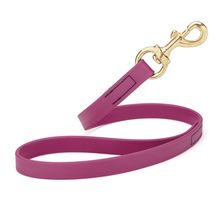 Dog Pet Leash with Brass Hardware W 3/4” L 20”, Magenta Pink