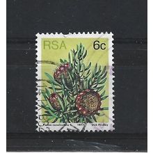 SouthAfrica.SG419 6c Protea Canaliculata.Fine Used.Sep25e