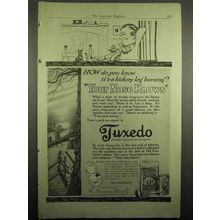 1918 Tuxedo Tobacco Ad - Your Nose Knows