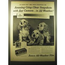 1950 Ansco Film Ad - Amazing crisp, clear snapshots with any camera