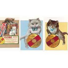 Globe Metal Polish 3x Cat Poster Advertising Postcard s