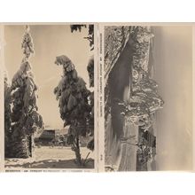 Osterzgeb AM Berghof Raupennest 2x German RPC Old Postcard s
