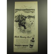 1956 Black & White Scotch Ad - Worth Running For!