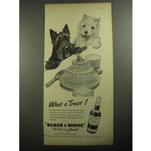 1956 Black & White Scotch Ad - What a Treat!