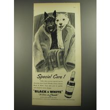 1956 Black & White Scotch Ad - Special Care