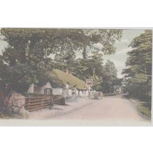The Cat And The Fiddle New Forest Hampshire F.G.O. Stuart 95 Postcard (QHAM172)
