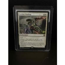 Leyline Binding Dominaria United Magic: the Gathering Trading Card