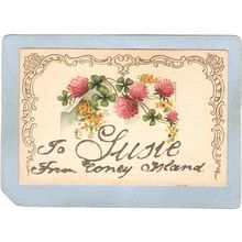 New York Coney Island Amusement Park Postcard To Gussie From Coney Island ~327