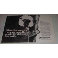 1980 U.S. Insurance Group Ad - White-Fronted Lemur