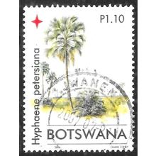 2006 Christmas - Palm Trees and their Fruit P1.10 Fine Used C1