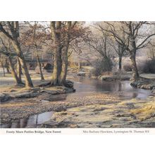 Puttles Bridge on Frosty Morning New Forest Hampshire Postcard