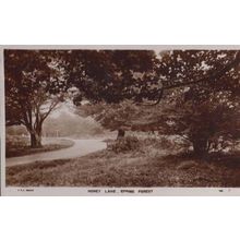 Honey Lane Epping Forest Vintage Real Photo Postcard