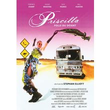 Priscilla of the Desert (9) Poster Canvas Movie Film Print A0 A1 A2 A3 A4 A5 A6