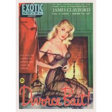 Unfaithful Marriage Divorce Sexy Bait Risque 1950s Book Postcard