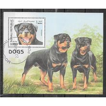 Somalia 1997 ANIMAUX LES CHIENS BLOC OBLITERE ( USED )