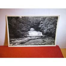 COTTER FORCE, HAWES, YORKSHIRE unused postcard RP 1950s #