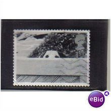 2001 GB DOG BEHIND FENCE F/U SG2194