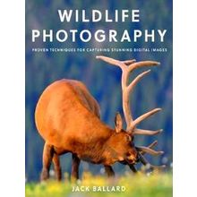 Wildlife Photography
