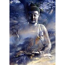 Universal Truth - Tree Free Greeting Card - 14122