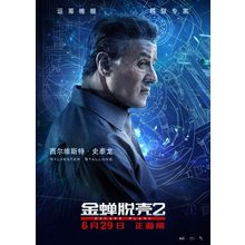 Escape Plan 2_ Hades (2018)_7 Movie Film Poster Canvas iconic design