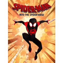 Spider-Man Into The Spider-Verse 3 Poster Canvas Movie Film Print A0 A1 A2 A3 A4