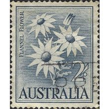 AUSTRALIA, FLOWER, Flannel Flower, blue 1959, 2/-, #5