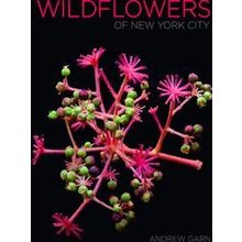 Wildflowers Of New York City