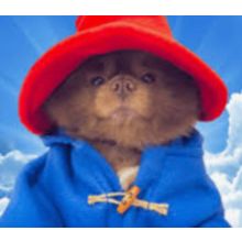 2.5 Bertram The Pomeranian (BERT) MINING-CONTRACT Crypto Currency (BERT)