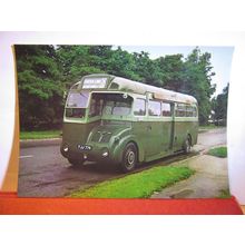 TF type MOTOR COACH , London Transport Museum unused postcard #