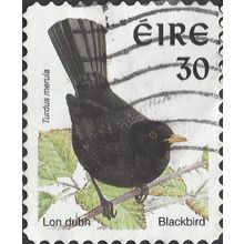 EIRE, BIRD, Blackbird, turdus merula, adhesive, white 2001, 30p