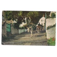 CLOVELLY DONKEYS, DEVON , used vintage postcard by J. Salmon 1971 pm =