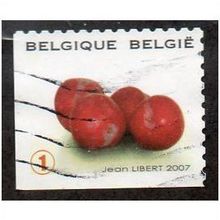 BEL 2007 (52c)(S/A) 'FRUIT- CHERRIES' FINE USED (EBID10391)