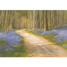 Scathes Wood Ightam Kent Painting Postcard