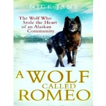 Wolf Called Romeo