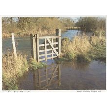 River Test At Wherwell Rare Hampshire Postcard