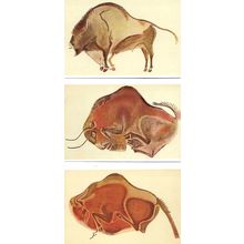 Art PREHISTORIC BISON Six Postcards (Cueva de Altamira)