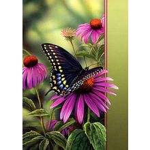 A Moment's Rest - Tree Free Greeting Card - 11466