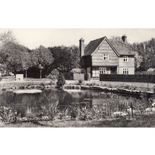 Ickenham Pond Uxbridge Real Photo Postcard