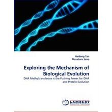 Exploring the Mechanism of Biological Evolution