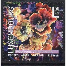 Luxembourg 2013 Mushrooms - Turkey Tail 50g Used