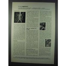 1962 Kodak Photography Ad - Problem in Communication