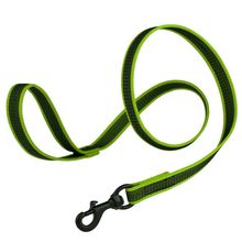 Rubber Infused Nylon Leash W3/4" x L 6' Green