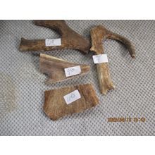 FALLOW DEER ANTLER CHEWS 2X90-110 GRAMS