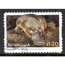 AUSTRALIA: 2023 NATIVE ANIMALS, $1.20 PLATYPUS USED SELF-ADHESIVE STAMP. 036/037