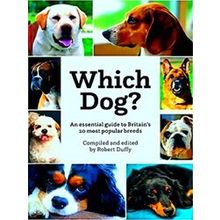 Which Dog