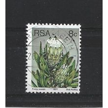 SouthAfrica.SG421 8c Protea Mundii.Fine Used.Sep25u